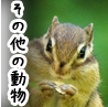 その他の動物